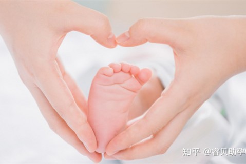 http://wuhan.51dzb.net/post/188.html|武汉新闻中心