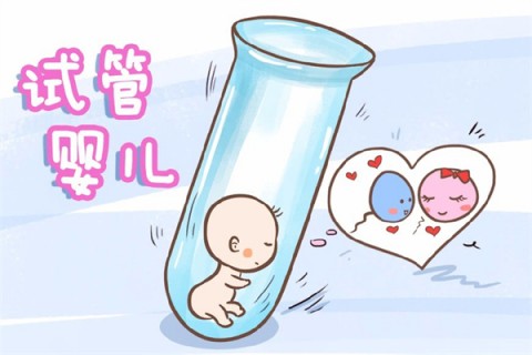 http://wuhan.51dzb.net/post/212.html|武汉新闻中心